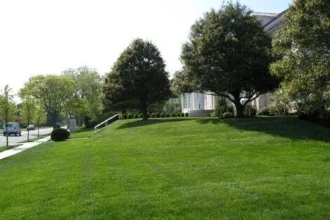 Beautiful landscaped outdoor area featuring a lush green lawn and mature trees, ideal for outdoor activities and relaxation. Well-maintained green lawn with mature trees in a landscaped outdoor space.