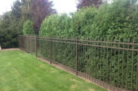 Durable metal fence installed along a lush green yard with privacy hedges in Long Island. Long Island residential fence with lush green privacy hedges.