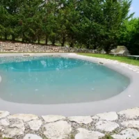 Beautiful inground pool with stone border, surrounded by greenery and outdoor lounge chairs on Long Island. Inground pool with stone border and outdoor seating in lush garden setting.
