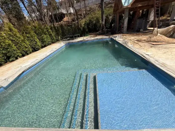 Inground pool with blue tiles and steps in a backyard setting.