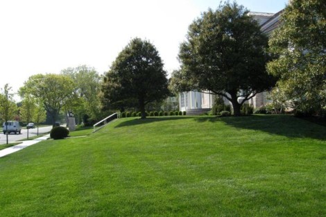 Beautiful landscaped outdoor area featuring a lush green lawn and mature trees, ideal for outdoor activities and relaxation. Well-maintained green lawn with mature trees in a landscaped outdoor space.