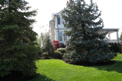 A well-maintained garden with mature trees and vibrant greenery complements the outdoor living space. Beautiful landscaped garden with trees and lush green lawn in Long Island.
