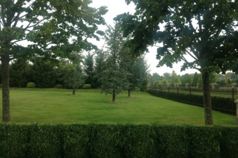A well-maintained outdoor landscape with trees and a trimmed hedge, perfect for outdoor living and relaxation. Lush green landscape with trees and manicured lawn in Long Island.