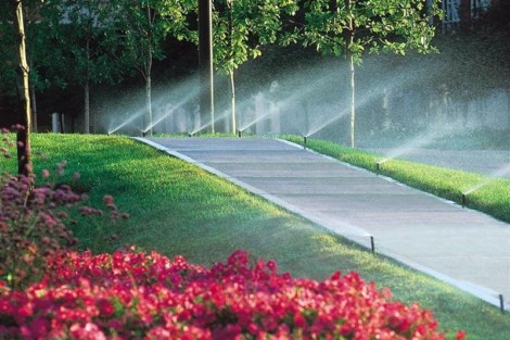 Efficient garden irrigation system watering plants and flowers for lush outdoor spaces. Garden irrigation system watering plants and flowers.