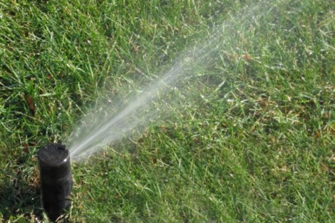 Lawn irrigation system with sprinkler watering the grass effectively. Sprinkler watering green grass in a garden.