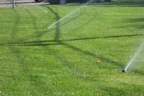 Efficient lawn irrigation system providing even watering for a healthy, vibrant yard in Long Island. Sprinkler system watering a lush green lawn on Long Island.
