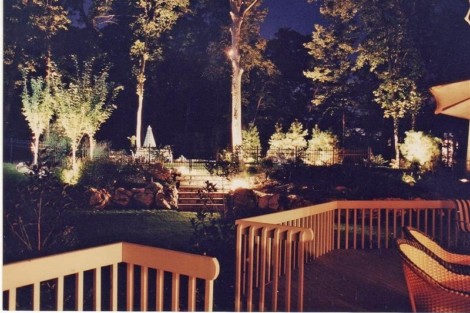 Elegant outdoor lighting enhances the pool area and garden landscape at night. Nighttime outdoor lighting illuminating pool and garden area.