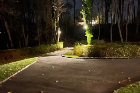 A beautifully lit tree along a curved driveway in a wooded outdoor setting at night. Illuminated tree along a winding driveway at night in a wooded area.