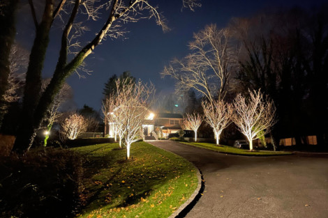 Night view of a landscaped outdoor area with illuminated trees and a driveway leading to a house. Beautiful outdoor space with illuminated trees and driveway at night.